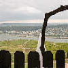 Blick vom Rebenhaus auf den Rhein bei Rüdesheim, 2005