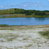 Vogelmeer in den Schoorlschen Dünen, 2007 (mit Beschreibung)