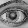 Auge, 1999
